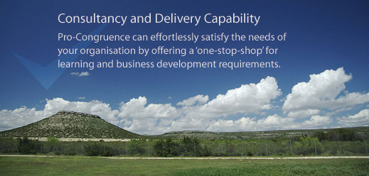Consultancy, Delivery, Capability
